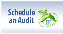 Schedule an Audit